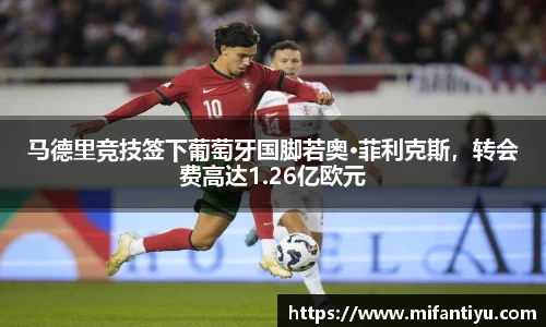马德里竞技签下葡萄牙国脚若奥·菲利克斯，转会费高达1.26亿欧元