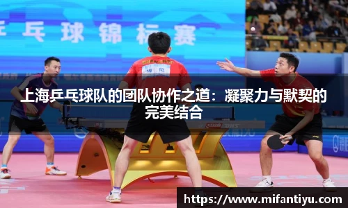 上海乒乓球队的团队协作之道：凝聚力与默契的完美结合